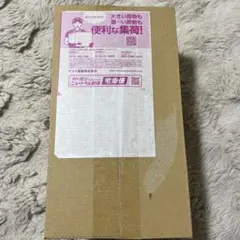 ポケモンセンターフクオカスペシャルBOX【新品未開封】