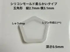シリコンモールド五角形型柔らかいタイプ