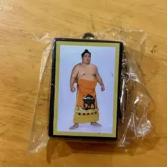 大相撲ガチャ　明け荷キーホルダー　大栄翔