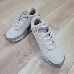 NIKE　エアマックス　Dn 23.5