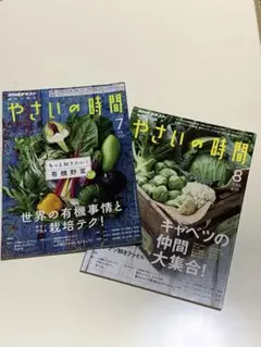 【匿名配送】やさいの時間　2017年7月号+8月号 ※ ２冊セットで【お値下げ】