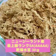 2026年最新】水苔 aaaaaの人気アイテム - メルカリ