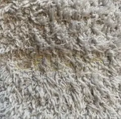 【れもん様専用】ジェラピケ ⭐︎ブランケット 膝掛け　グレー