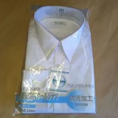 Item thumbnail for item 16c8b00b-2b77-4313-827a-9b7a82266da6