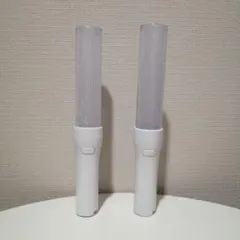 ペンライト ミュージシャン