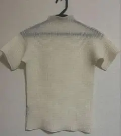 ISSEYMIYAKE IM34FJ763 トップス pleats please