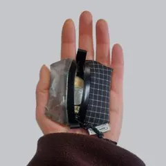 Item thumbnail for item 17a2d3e4-3889-4781-bfa1-4e5a5b4c45e5