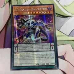 DDカウントサーベイヤー　アジアシークレット