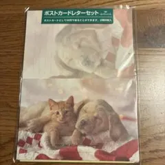日本ホールマーク ポストカードレターセット 犬 猫
