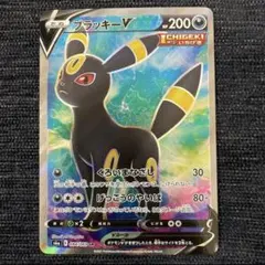 2026年最新】ブラッキーV srの人気アイテム - メルカリ