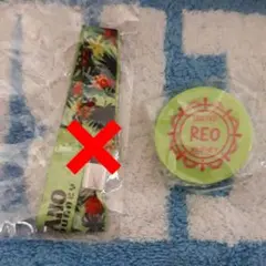 ユナイテッドジャーニー佐野玲於マグネット