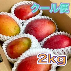 46沖縄県産マンゴー☆2kgクール代込☆説明文呼んで下さい - メルカリ