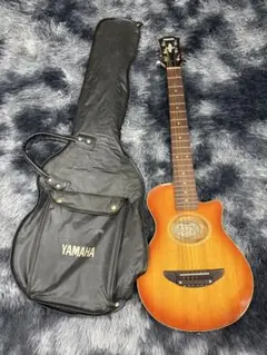 James JE450 WBS 島村楽器 エレアコ　ピックアップ搭載 James JE450 WBS 島村楽器 エレアコ ピックアップ搭載 - メルカリ