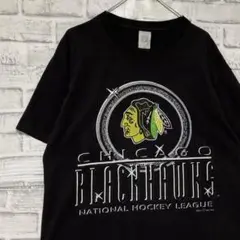 USA製90sヴィンテージTシャツ！シングルステッチ　ブラウン半袖古着L721