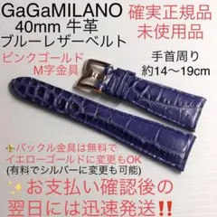 М様専用 ◆シルバー金具変更 マヌアーレ ナポレオーネのサムネイル