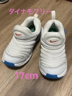 Nike ダイナモフリー　スニーカー ホワイト/ブルー