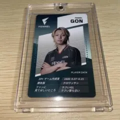 2025年最新】FENNEL valorantの人気アイテム - メルカリ