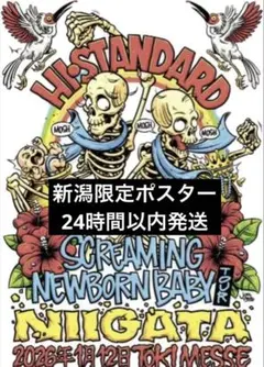 2026年最新】ハイスタ ポスターの人気アイテム - メルカリ