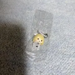紺 様