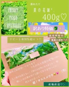❤️400g 690円!!【訳あり】菜の花箱パンパン!!栽培期間農薬不使用❤️