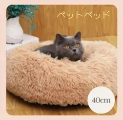 Item thumbnail for item e87a6f9a-1516-4b3b-8377-50cec6296cc0