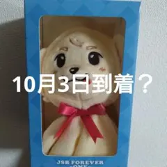 岩田剛典 着ぐるみキーホルダー パンダ 中古】雑貨 岩田剛典(三代目 J SOUL BROTHERS) パンダ着ぐるみ