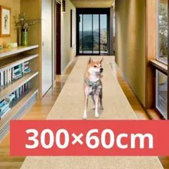 Item thumbnail for item 5ec1c57b-de4f-4f98-b9ba-d55cdf2b3797