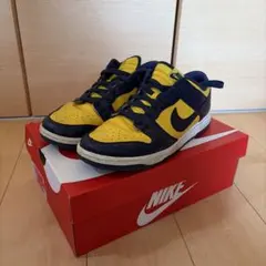 NIKE ミシガン ダンクのサムネイル