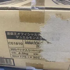 2025年最新】アニメーションクロニクル2022 カートンの人気アイテム