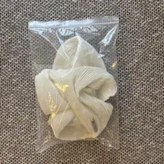 Item thumbnail for item 017eefa1-bbf4-440c-9b1f-f04de3eb60dc