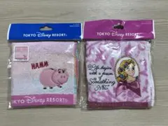東京ディズニーリゾート ミニタオル 2枚セット