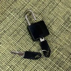 Item thumbnail for item 3d844807-dd34-46e8-8b93-022aea2f409e