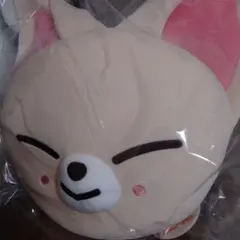 7/5〆　straykids アイエン　フォクシニー　　ぬいぐるみ　クッション