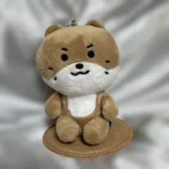 ミンハオ SEVENTEEN ミニティーン ぬいぐるみ 20cm ディパリ - メルカリ