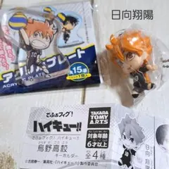 ハイキュー!!　日向翔陽