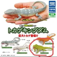 Item thumbnail for item 164a9384-bfbb-4536-86ce-ffd254665812