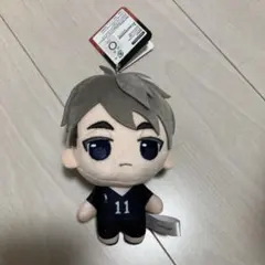 ハイキュー‼︎ ぷちっしゅ ぬいぐるみ 宮治