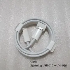 Apple Lightning USB-C ケーブル 純正