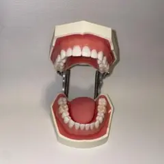 2026年最新】ニッシン 模型の人気アイテム - メルカリ