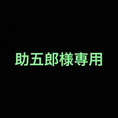 ※専用出品　エクレシア・白き竜の落胤