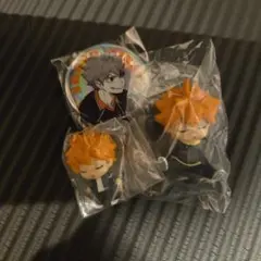 日向翔陽 ミニフィギュア 缶バッジ セット