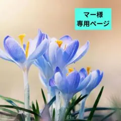 ★マー様専用ページ★
