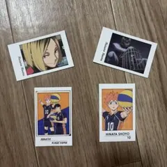 ハイキュー!! フォト風カード 4枚セット