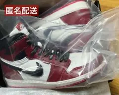 NIKE Air Jordan MINIATURE コレクション　ガチャ　シカゴ