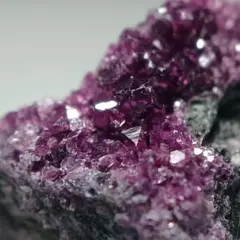 2026年最新】カメレライトの人気アイテム - メルカリ