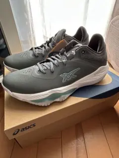 asics NOVASURGE 30cm 超美品 2025年最新】nova surge 30の人気アイテム - メルカリ