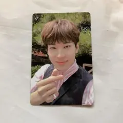 seventeen An Ode thepoet ver. ウォヌ　トレカ