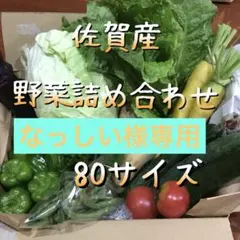 野菜詰め合わせ＊旬のお野菜＊