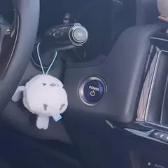 LEXUS プッシュスタートスイッチ トヨタ車流用にのサムネイル