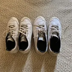 Item thumbnail for item 3010862c-ba1d-4228-aece-5f3ef0d73aad